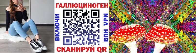 купить наркоту Медногорск Псилоцибиновые грибы GOLDEN TEACHER